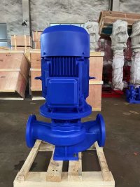 ISG inline vertical centrifugal pump