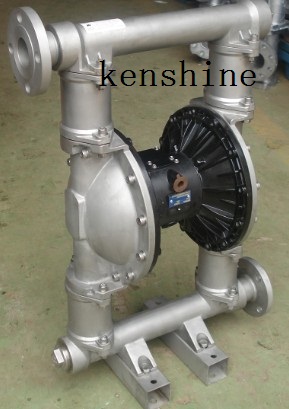 RW Air operated pneumatic double diaphragm pump