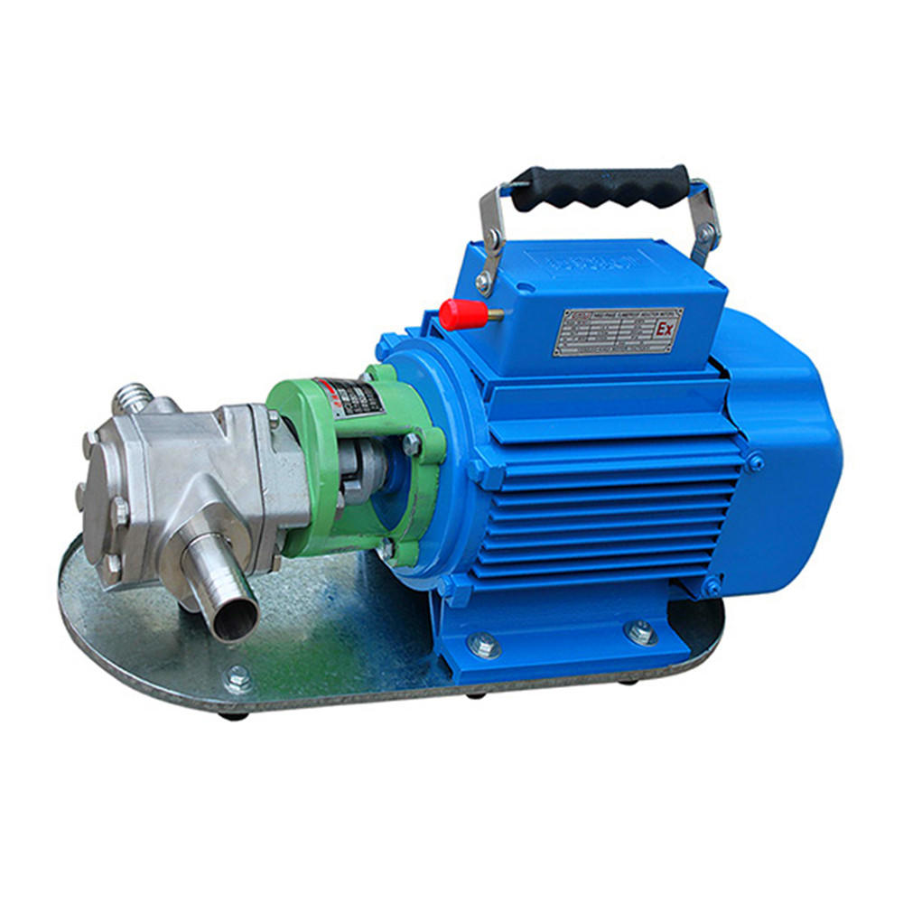 WCB portable stainless steel gear pump